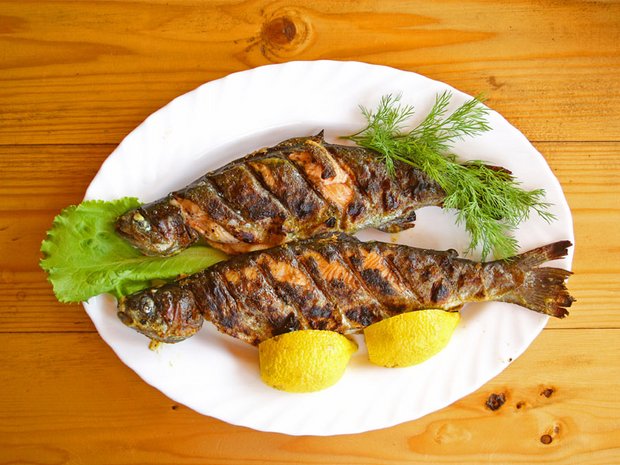 csm_30_christmas_trout_12_59218735b1.jpg