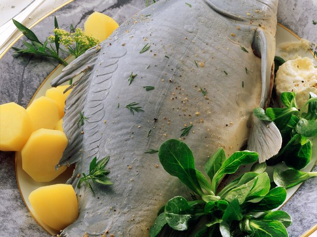 csm_3_christmas_carp_12_fccbe812e0.jpg